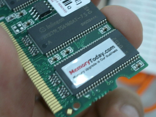 IMGP9173.JPG