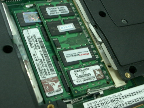 IMGP9186.JPG