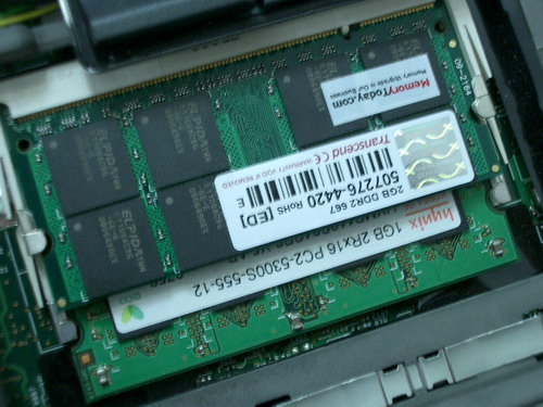 IMGP9194.JPG
