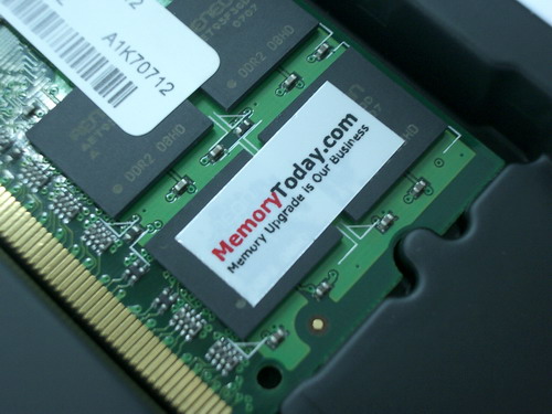 IMGP9200.JPG