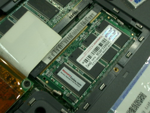 IMGP9203.JPG