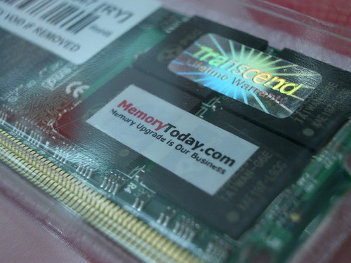 IMGP9211.JPG