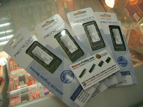 IMGP9224.JPG