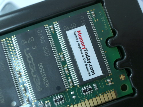 IMGP9226.JPG