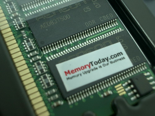 IMGP9243.JPG
