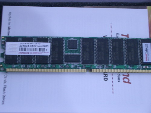 IMGP9245.JPG