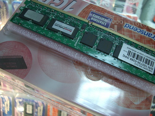 IMGP9249.JPG