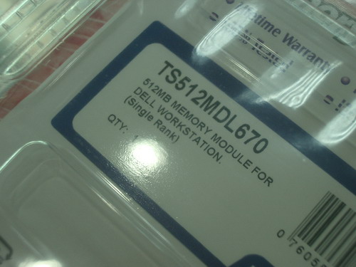 IMGP9258.JPG