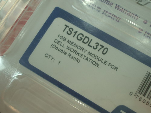 IMGP9259.JPG