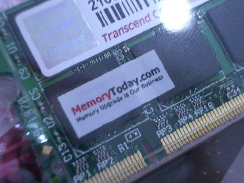 IMGP9266.JPG