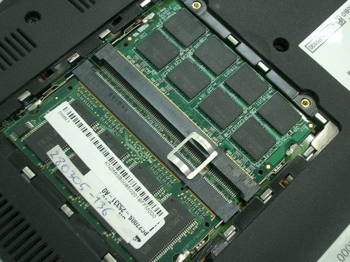 IMGP9272.JPG