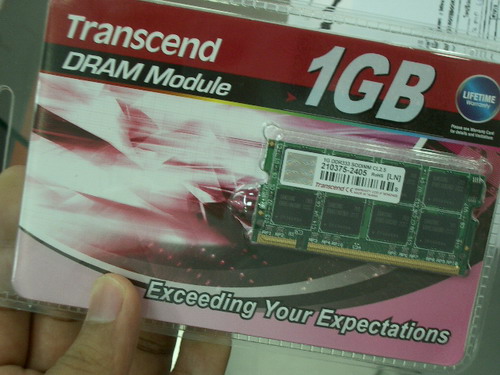 IMGP9274.JPG