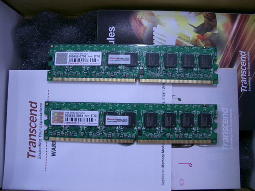 IMGP9306.JPG