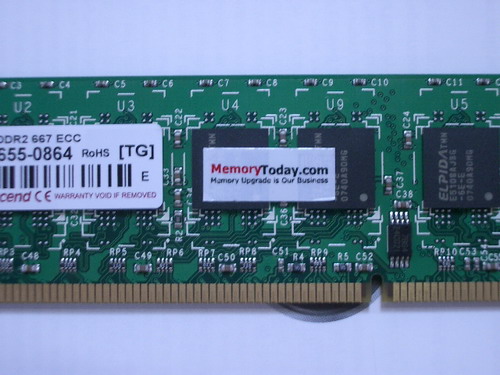 IMGP9307.JPG