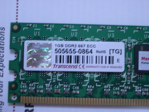 IMGP9309.JPG
