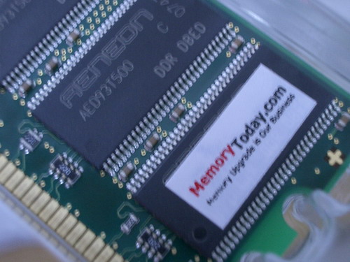 IMGP9321.JPG