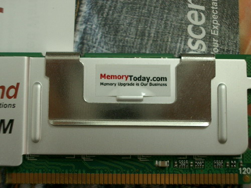 IMGP9327.JPG