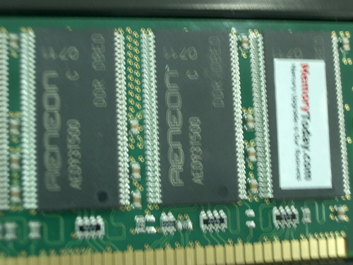 IMGP9327.JPG