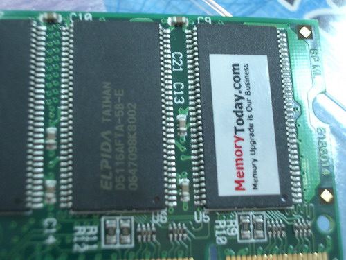 IMGP9331.JPG