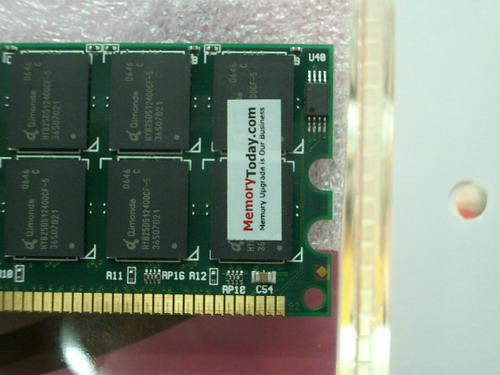 IMGP9333.JPG