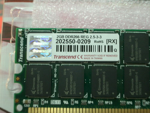 IMGP9335.JPG