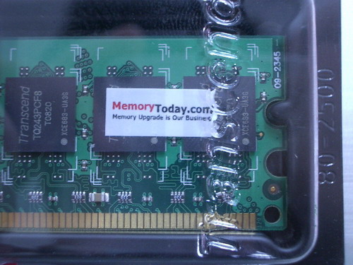 IMGP9338.JPG