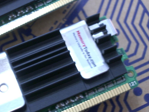 IMGP9340.JPG