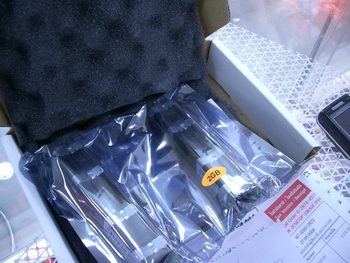 IMGP9342.JPG