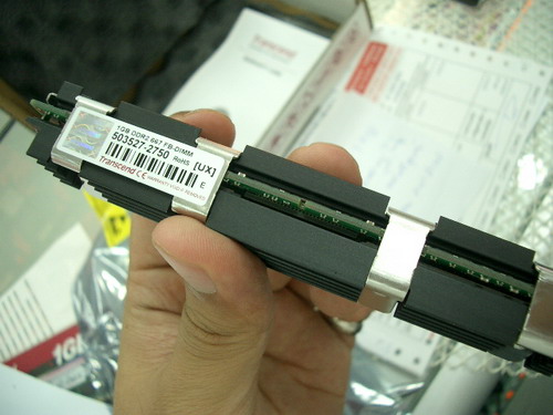 IMGP9343.JPG