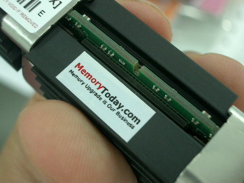 IMGP9344.JPG
