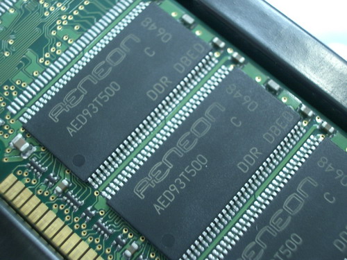 IMGP9347.JPG