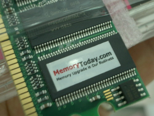 IMGP9348.JPG