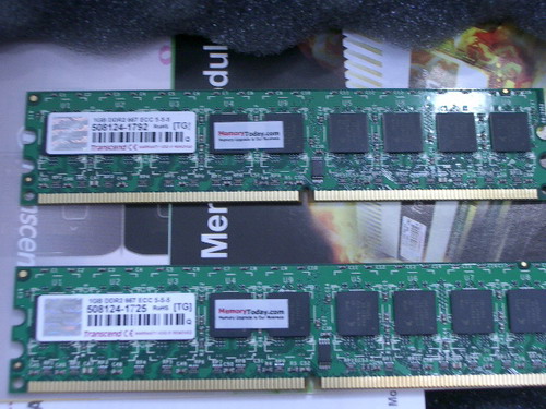 IMGP9358.JPG