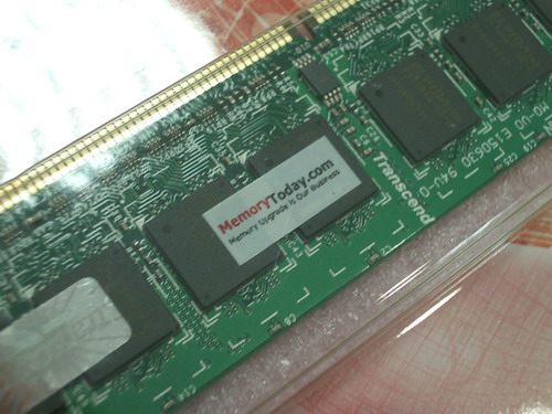 IMGP9361.JPG