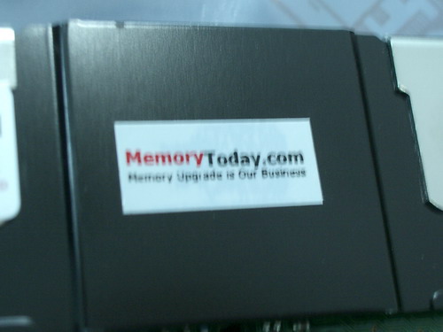 IMGP9368.JPG