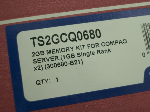IMGP9370.JPG