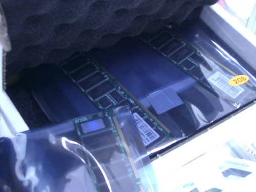 IMGP9371.JPG