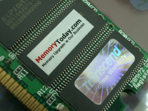 IMGP9372.JPG