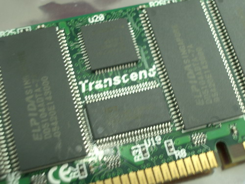 IMGP9373.JPG