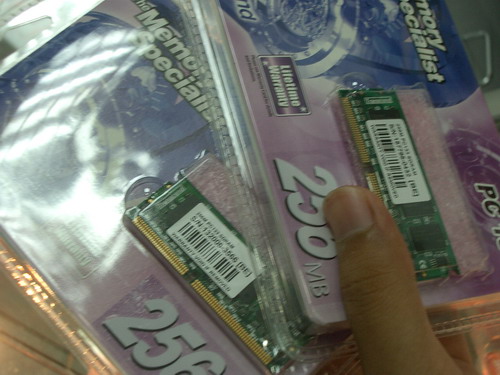 IMGP9378.JPG