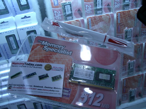 IMGP9381.JPG