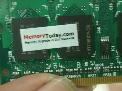 IMGP9382.JPG
