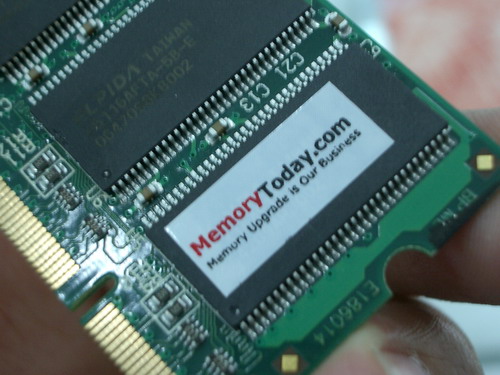 IMGP9385.JPG