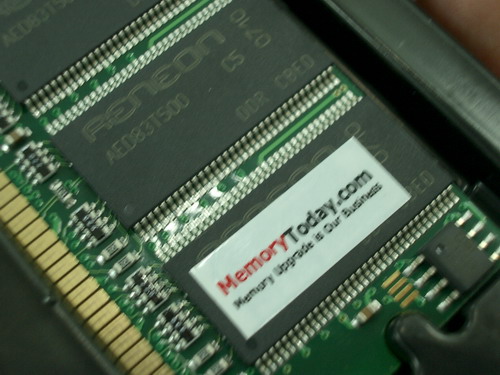 IMGP9396.JPG