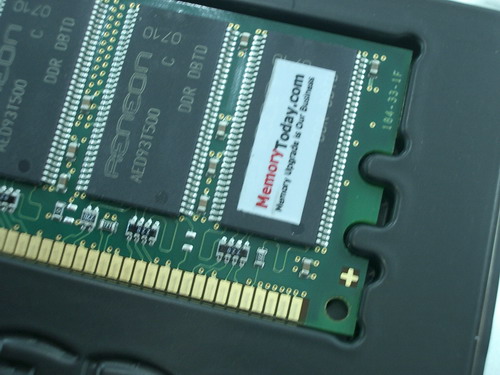 IMGP9408.JPG