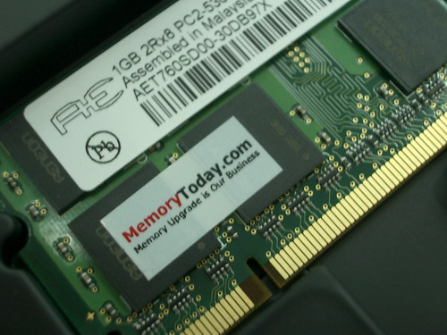 IMGP9415.JPG