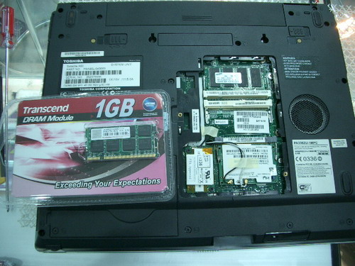IMGP9424.JPG