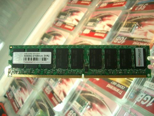 IMGP9438.JPG