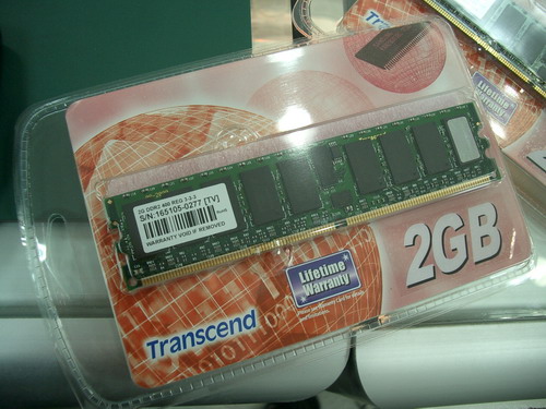 IMGP9473.JPG