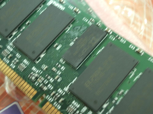 IMGP9479.JPG